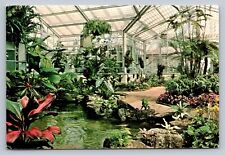 Postcard CA Carona del Mar Sherman Library Gardens Koi Pool Tropical   B977 picture
