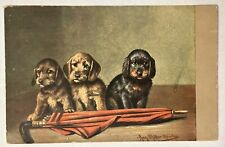 Three puppies with an umbrella, 1908 vintage dog Postcard picture