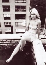 Blondie Debbie Harry   8x10 Glossy Photo picture