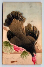 1910 Thanksgiving Greeting Turkey for Dinner PFB 9315 Postcard picture