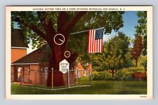 Geneva NY- New York, Historic Scythe Tree, Antique, Vintage Souvenir Postcard picture