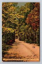 Morristown NJ-New Jersey, Road Of Jockey Hollow, Vintage c1946 Souvenir Postcard picture