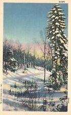 Vintage Postcard Winter Scene On A Beautiful Morning Trees Covered With Snow picture