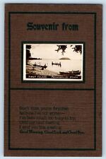 Paynesville Minnesota MN Postcard RPPC Photo First Island 1911 Posted Antique picture