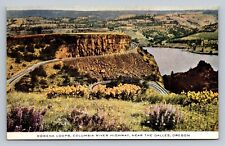 Postcard Oregon Rowena Loops The Dalles Advertising Unposted Military C139 picture