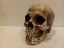 Full size Human horror skull hollow resin halloween horror decor picture