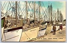 Postcard Sponge Fleet At Docks, Tarpon Springs, Florida Unposted picture