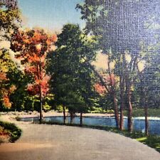 Postcard VA Greetings from Blackstone Virginia Park Lake Scene Linen 1930-1945 picture