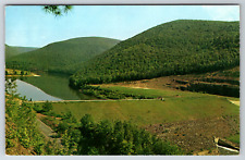 c1960s Little Pine Creek Dam Waterville PA Vintage Postcard picture