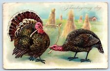 Postcard - Raphael Tucks Thanksgiving Two Turkeys Fighting Over Wish Bone c1908 picture