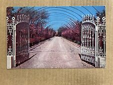 Postcard Weatherford TX Texas Famous Gardens of Douglas Chandor White Shadows picture