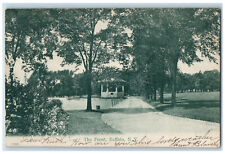 1907 The Front Tree-lined Garden Scene Buffalo New York NY Antique Postcard picture