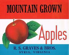 Mountain Grown Brand Apples Syria Virginia Retro Fruit Crate Label Art Print picture
