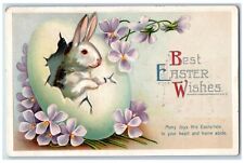 c1910's Easter Hatched Egg Rabbit Pansies Flowers Clapsaddle Embossed Postcard picture