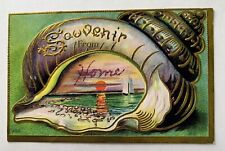 Seashell Sailboat Embossed Gold Gilt Vintage Postcard L4 picture