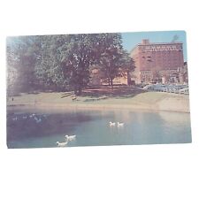 Postcard VA Roanoke Patrick Henry Hotel from Elmwood Park Pond Ducks             picture
