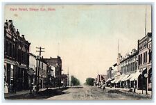 1910 Main Street Business District Scene Sleepy Eye Minnesota MN Posted Postcard picture