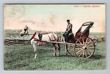QC-Quebec, Scenic White Horse Drawn Carriage, Vintage Postcard picture