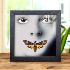 Silence of the Lambs Movie Poster Art with Death's Head Hawk Taxidermy Moth picture
