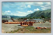 WA-Washington, A Typical Small Sawmill, Scenic Exterior, Vintage Postcard picture