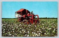 Red Mechanical Cotton Picker in the Cotton Field Vintage Postcard 1636 picture