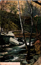 Minneapolis Minnesota Minnehaha Falls Wooded City Park Vintage c. 1908 Postcard picture