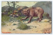 c1905 Grizzly Bear John Innes Art Troilene Animals Unposed Antique Postcard picture