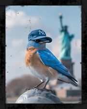 New York Yankee Bluebird 8x10 Rustic Vintage Style Tin Sign Metal Poster picture