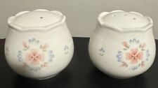 Rare Porcelain hand-painted S & P Shakers w/pink & blue flowers Japan *Notes picture