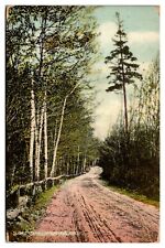 ANTQ Lone Pine, Dirt Road Scene, Scenic Landscape, Milford, NH Postcard picture