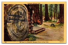 The Age Of A Monarch, Mariposa Grove Of Big Trees Postcard picture
