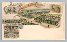 Rare Early Gruss Aus-Style CHARLEVOIX Lake Michigan Postcard PMC Golf ~1900 picture