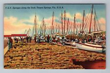 Tarpon Springs FL-Florida, Sponges Along The Dock, Vintage Postcard picture