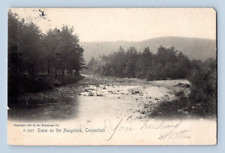 1906. SCENE ON THE NAUGATUCK, CONN. POSTCARD 1A37 picture
