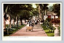 Palm Beach FL-Florida, Grounds at Royal Poinciana Hotel Vintage c1910 Postcard picture