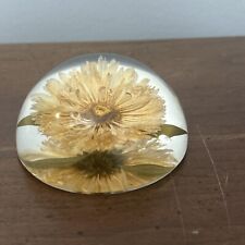 VTG Chrysanthemum? Flower Lucite Dome Paperweight Acrylic Signed W. Rolfe picture