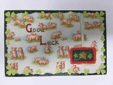 Pigs Piglets Good Luck Postcard Gel Gold Shamrocks Clovers c. 1910 picture
