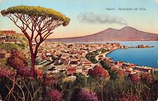 Napoli Italy Mount Vesuvius Volcano Beach Panorama Early 1900s Postcard D22 picture