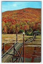 c1960 Greetings From Woolrich Pennsylvania PA Swinging Bridges Vintage Postcard picture