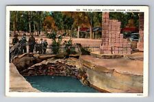 Denver CO-Colorado, The Sea Lions, City Park, Antique, Vintage Souvenir Postcard picture