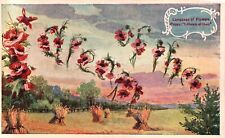 Vintage Postcard 1909 Language of Flowers Floral Blooms Poppy I Dream of Thee picture