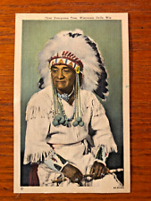 Vintage Chief Evergreen Tree Postcard picture