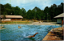 Vtg Warrior Alabama AL Rickwood Caverns Swimming Pool 1950s Unused Postcard picture