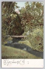 Intervale New Hampshire, The Foot Bridge Scenic View, Vintage Postcard picture