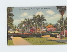 Postcard Relaxing in Tropical Bayfront Park Miami Florida USA picture