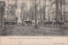 Logging Hattiesburg 8 Wheel Wagon Co., Hattiesburg Mississippi c1900s Postcard picture