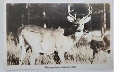 Gaylord, MI Greetings from Gaylord Deer Photo RPPC Real Picture Postcard k14 picture