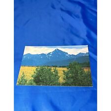 Majestic Colorado postcard chrome divided back picture