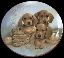 1989 South Paws From Puppy Pals 8-1/8 Inch Danbury Mint Collector Plate picture