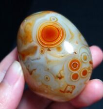 TOP 63G Natural Polished Silk Banded Lace Agate Crystal Stone Madagascar QC230 picture